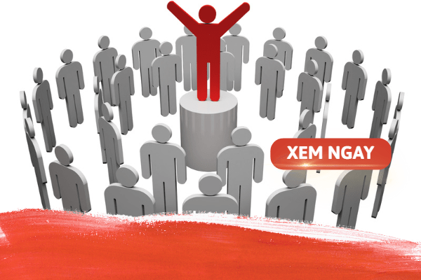 nganh cong nghe thong tin can hoc nhung gi