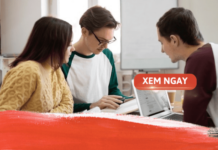 Sinh viên ngành Quản trị kinh doanh cần học những gì để giỏi? quan tri kinh doanh can hoc nhung gi
