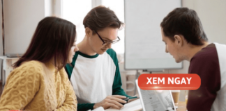 Sinh viên ngành Quản trị kinh doanh cần học những gì để giỏi? quan tri kinh doanh can hoc nhung gi