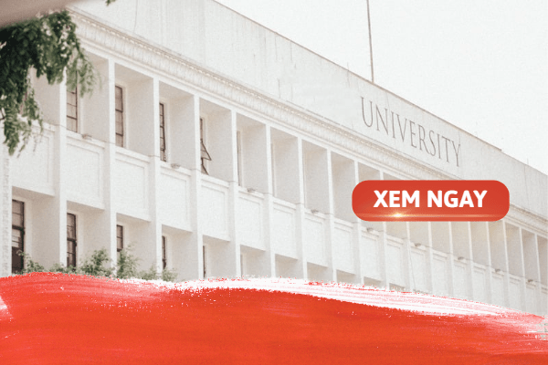 Ngành quản trị kinh doanh có những trường nào đào tạo?