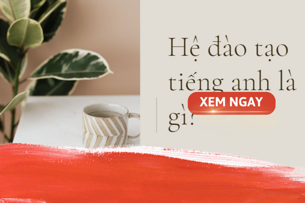 he dao tao chinh quy tieng anh la gi
