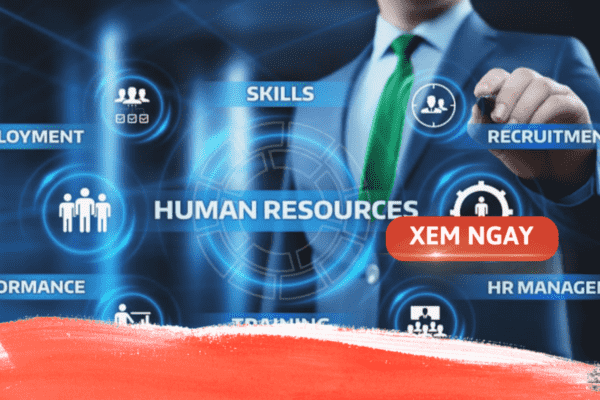Cơ hội việc làm ngành quản trị nguồn nhân lực