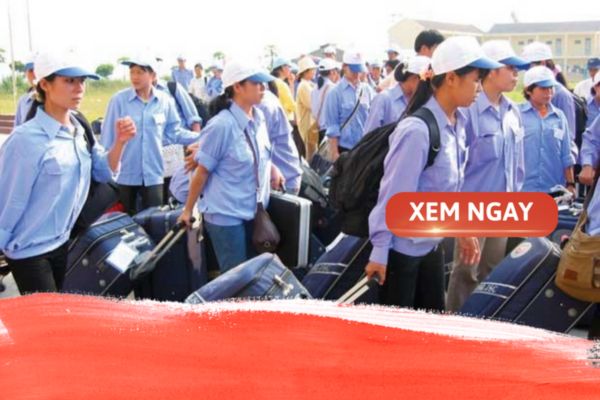 bcvt.edu.vn