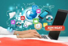 Top các trường đào tạo từ xa ngành công nghệ thông tin bạn nên biết bcvt.edu.vn