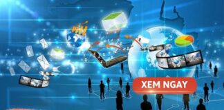 Giới thiệu về ngành công nghệ thông tin là gì? Cơ hội việc làm 2026 gioi thieu ve nganh cong nghe thong tin