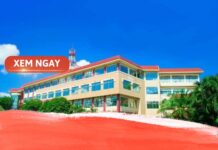 Những điều cần biết về các trường đại học công nghệ thông tin cac truong dai hoc cong nghe thong tin