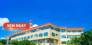 Những điều cần biết về các trường đại học công nghệ thông tin cac truong dai hoc cong nghe thong tin