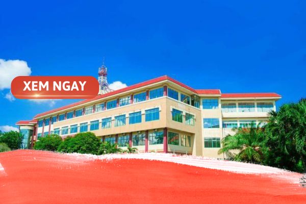 cac truong dai hoc cong nghe thong tin