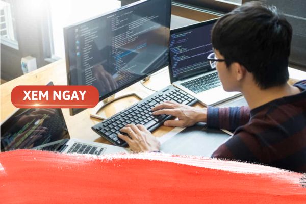 Ngành công nghệ thông tin học những gì và lộ trình học hiệu quả