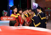 Tất cả các thông tin cần biết về điều kiện để học văn bằng 2 dieu kien de hoc van bang 2