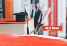 Nữ học công nghệ thông tin ra làm gì? Cơ hội việc làm & mức lương Nữ học công nghệ thông tin ra làm gì?